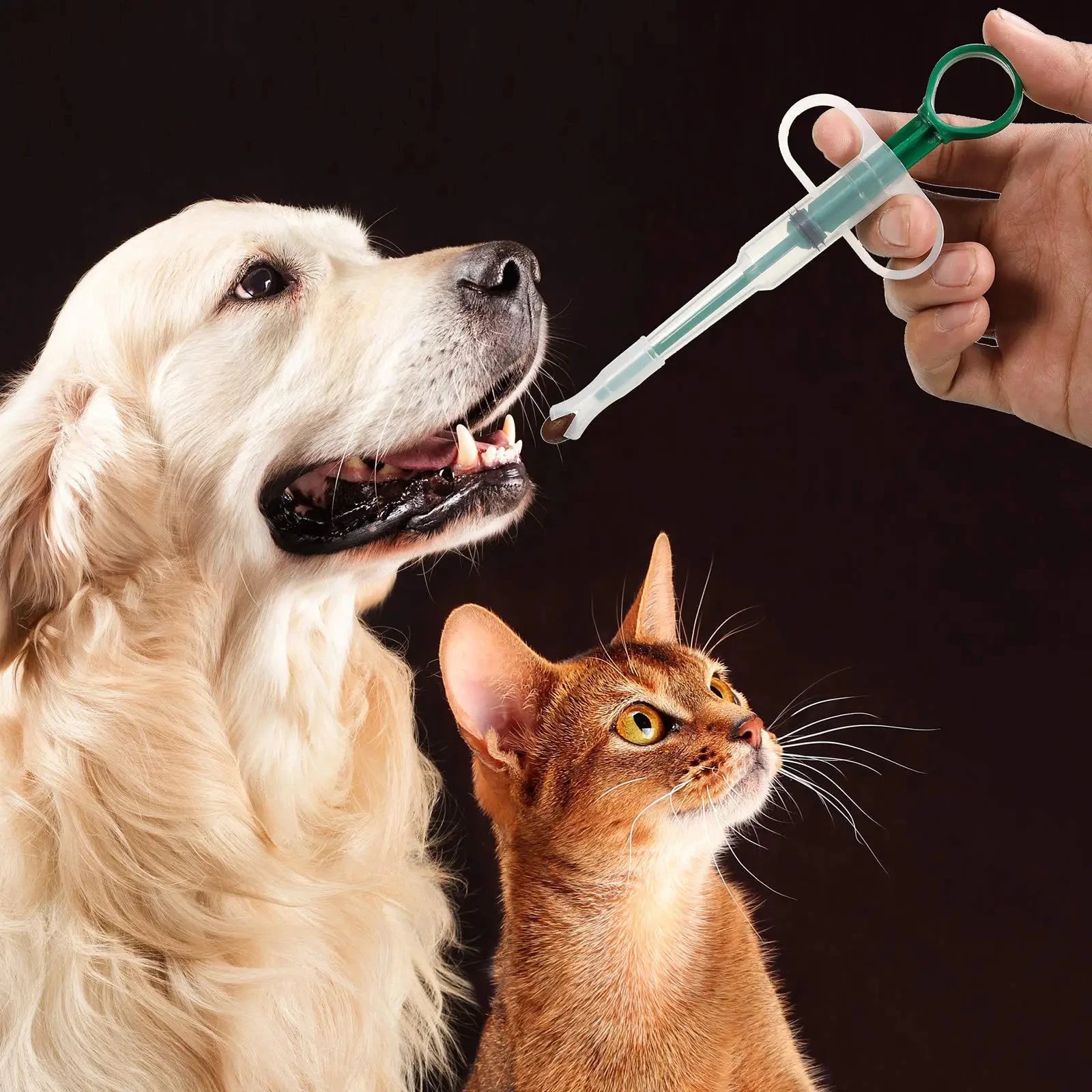 Dispensateur de médicaments pour animaux de compagnie, bâtonnet d'alimentation pressant pour chats et chiens, pilules alimentaires, pilules, artefacts médicamenteux, soins de la maladie pour animaux de compagnie